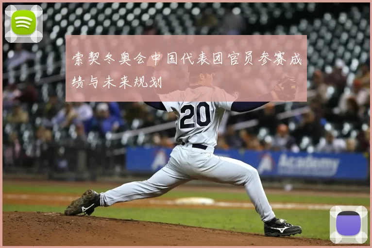 索契冬奥会中国代表团官员参赛成绩与未来规划