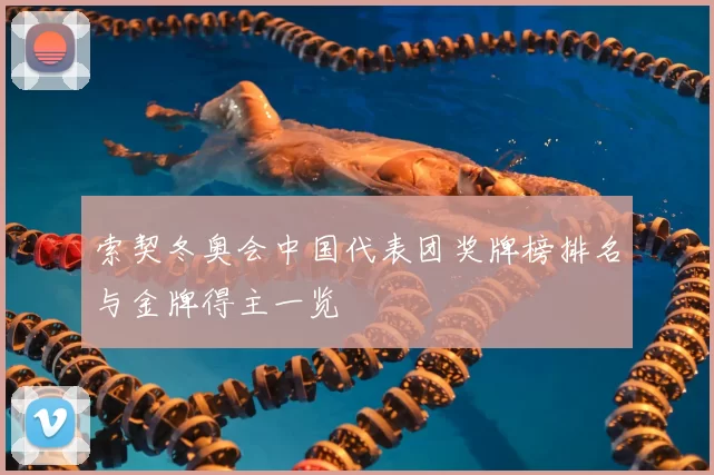 索契冬奥会中国代表团奖牌榜排名与金牌得主一览