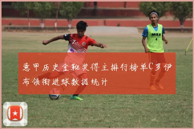 意甲历史金靴奖得主排行榜单C罗伊布领衔进球数据统计
