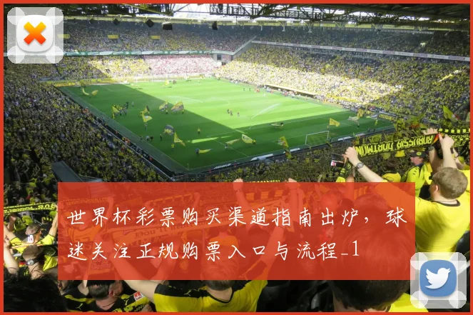 世界杯彩票购买渠道指南出炉,球迷关注正规购票入口与流程_1