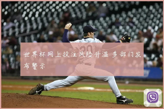 世界杯网上投注风险升温 多部门发布警示