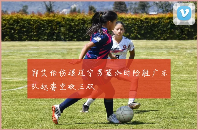 郭艾伦伤退辽宁男篮加时险胜广东队赵睿空砍三双